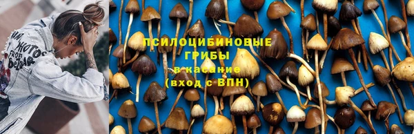 гидропоника Абаза