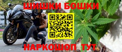 прущие грибы Комсомольск-на-Амуре