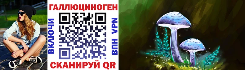 Псилоцибиновые грибы Psilocybe ссылка на мегу рабочий сайт Кингисепп магазин