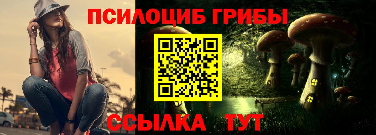 Псилоцибиновые грибы Psilocybe  Галлюциногенные грибы Psilocybe  купить закладку  Кингисепп  Вход с VPN 