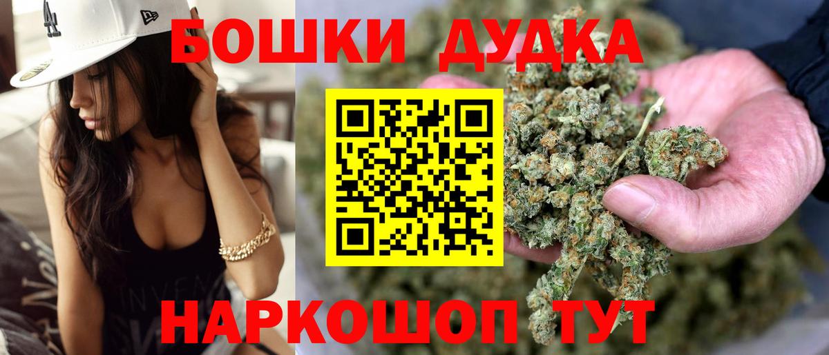 Лсд 25 Кингисепп