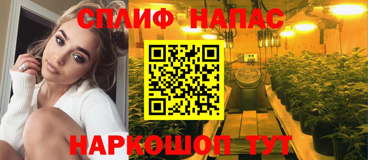 Каннабис SATIVA & INDICA  Марихуана сатива  Кингисепп  Шишки марихуана THC 21%  Вход с VPN 